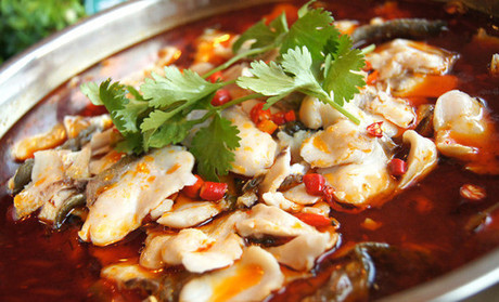 成都ky体育中国官方网站