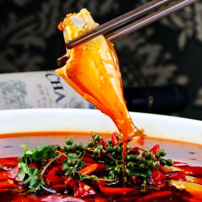 耗儿鱼技术培训在哪里学?